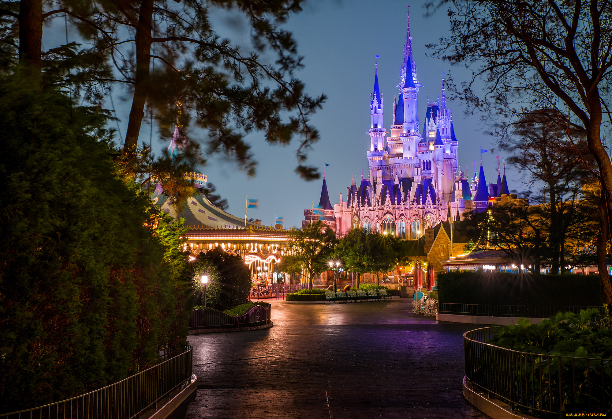 cinderella castle through the trees, , , , , , , 